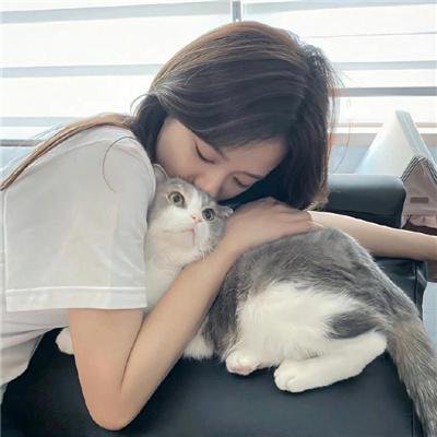 束手就擒吧！韩队长！